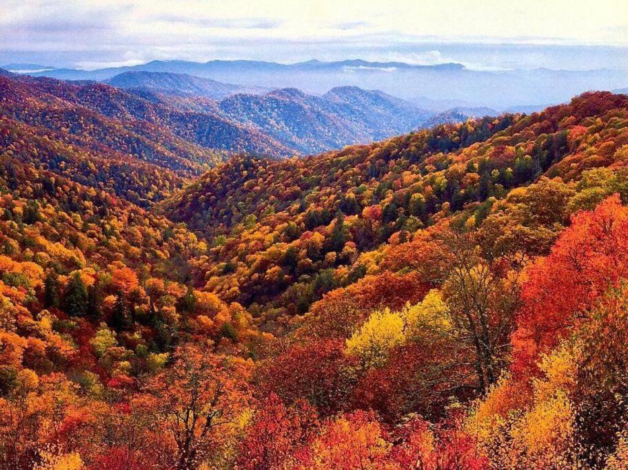 Whiskey Ridge Lodge, A Restored 1940S Gem, 2 Mins From Downtown, Breathtaking City Views, Custom Game Room, And Spacious Elegance Gatlinburg Esterno foto